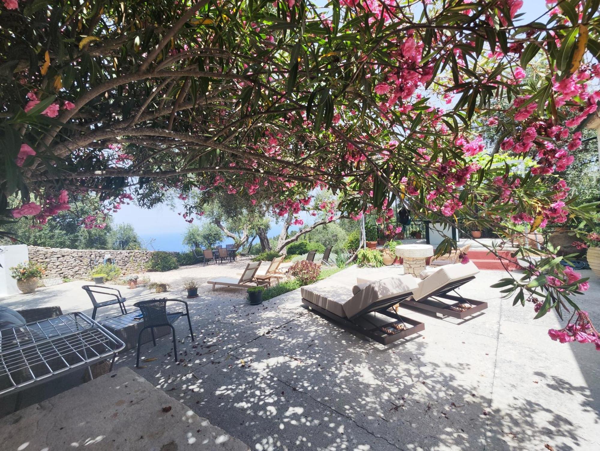 Rania'S Cottage Lakka  Exterior photo